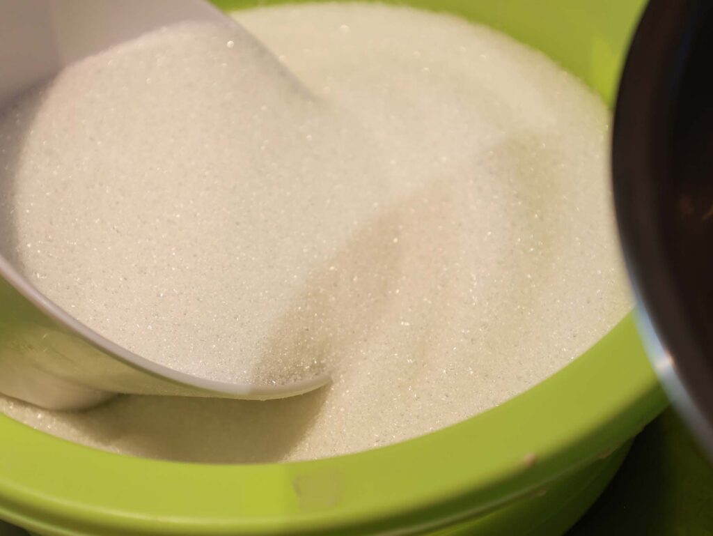 Freshly Baked Chocolate Chip Cookies and Butter Cookies