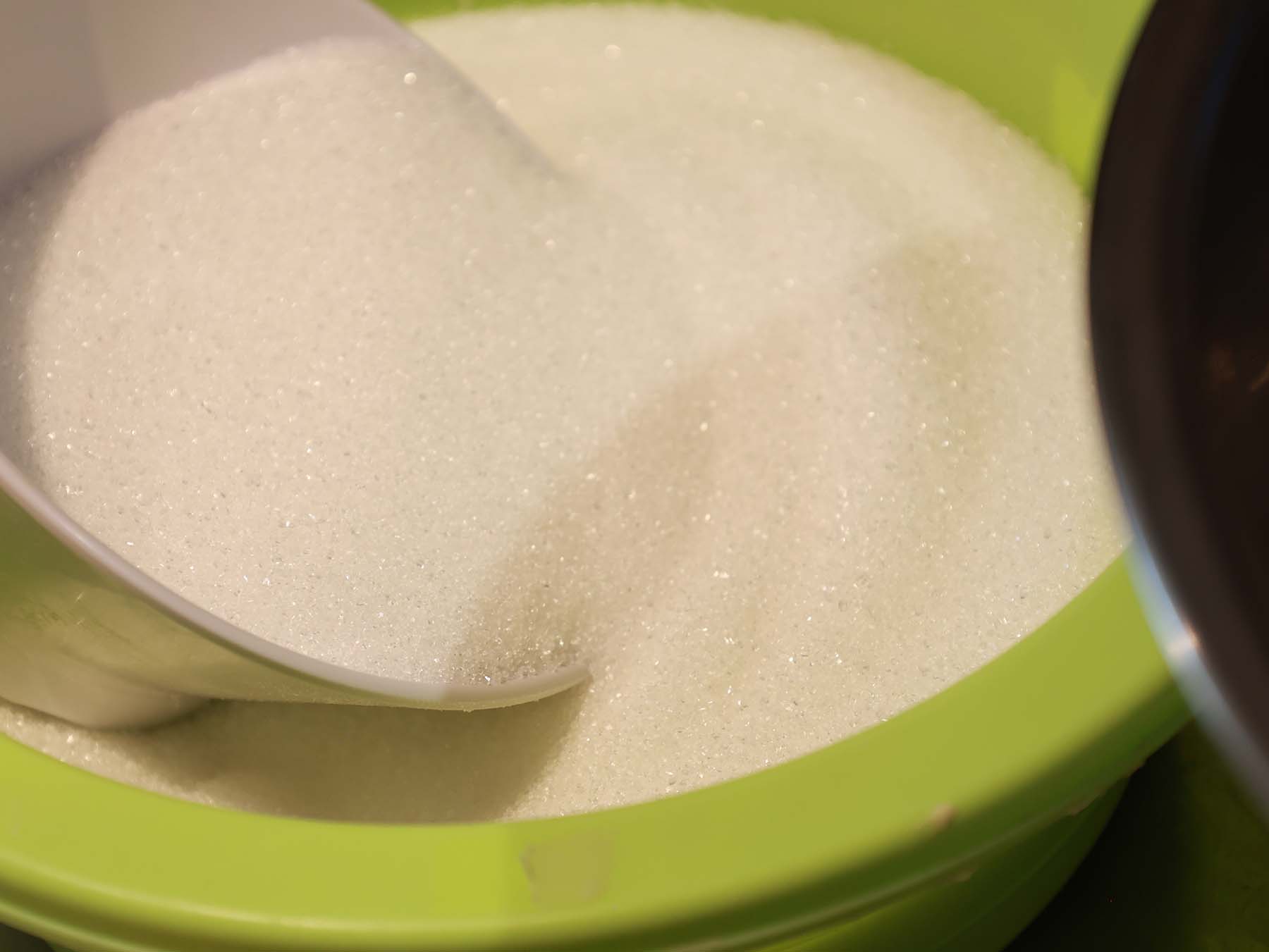 Freshly Baked Chocolate Chip Cookies and Butter Cookies