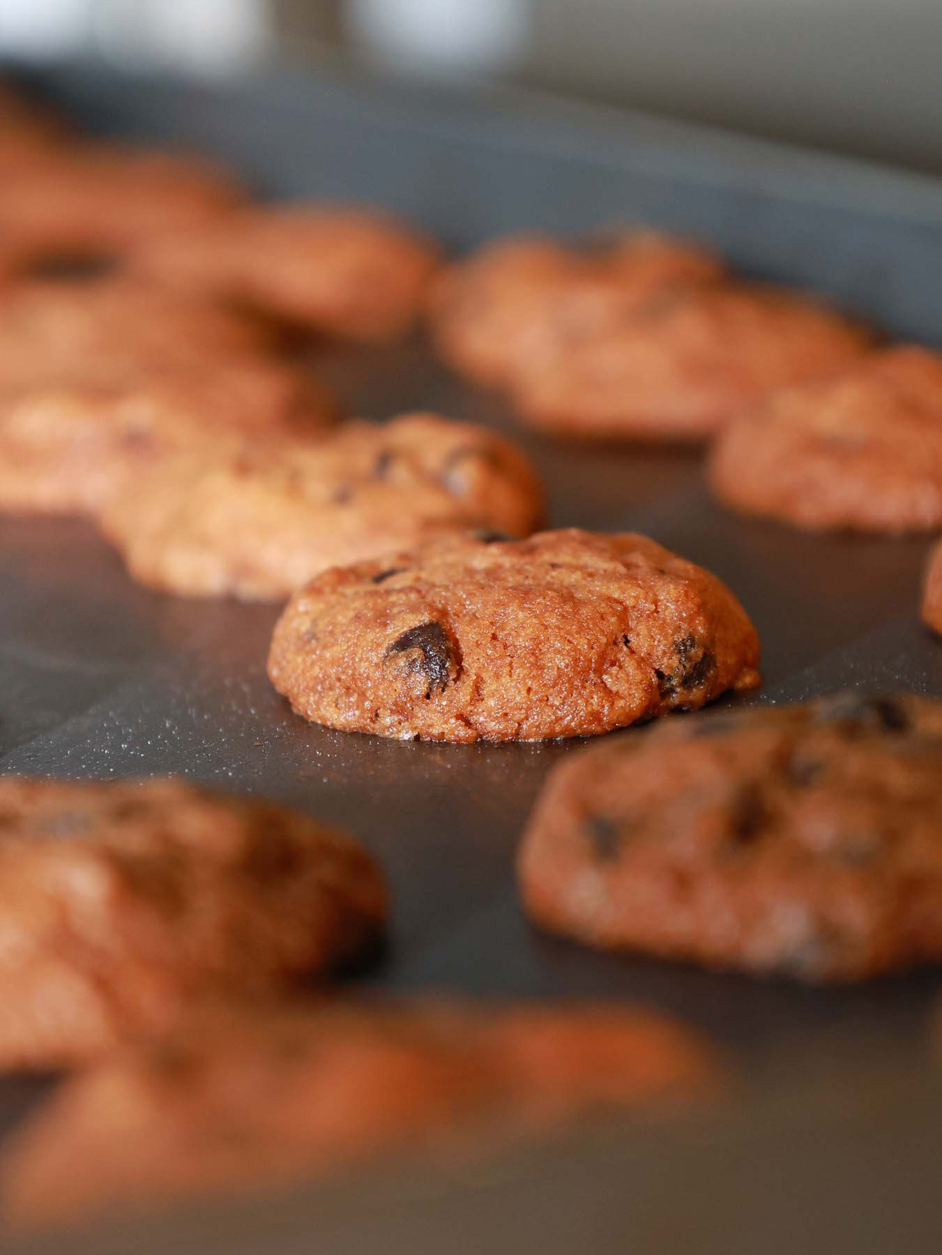 Freshly Baked Chocolate Chip Cookies and Butter Cookies