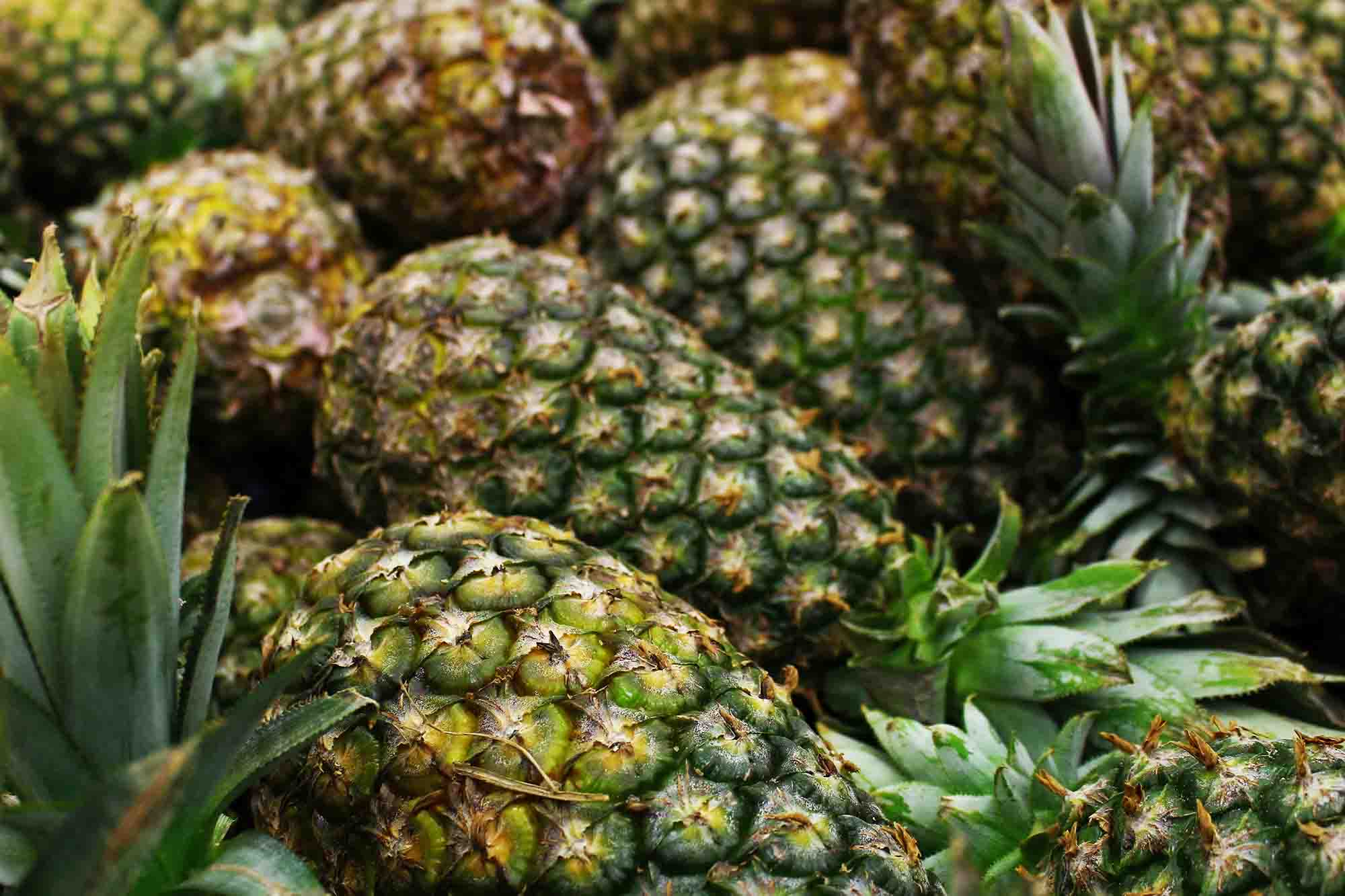 best pineapple tarts in singapore